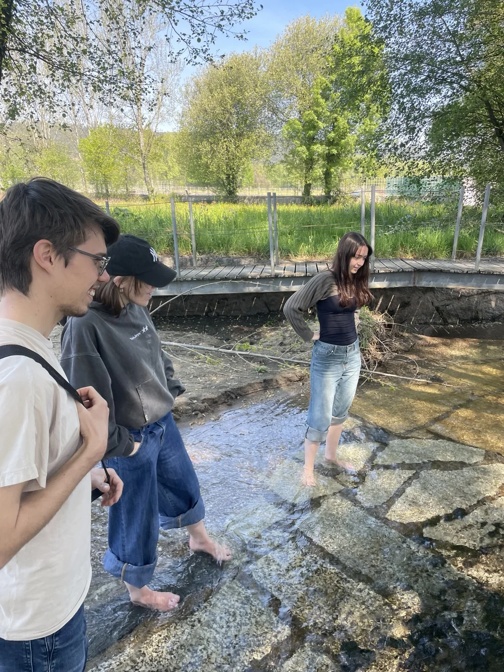 Voluntários a observar e fotografar junto à água